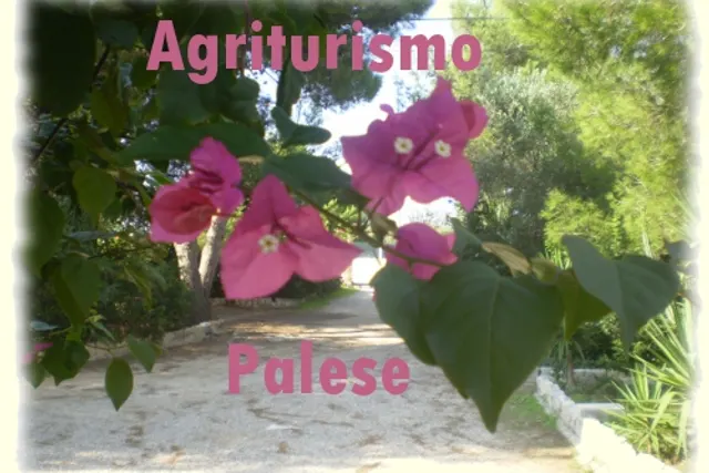 Agriturismo Palese
