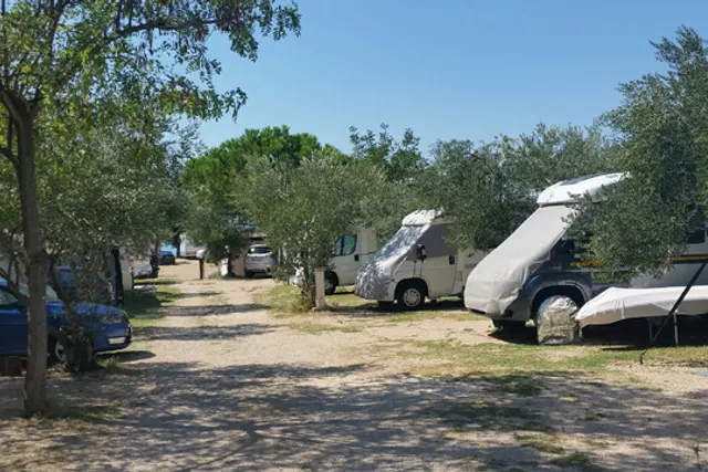 CAMP LUKA