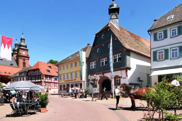 Gut Sansenhof