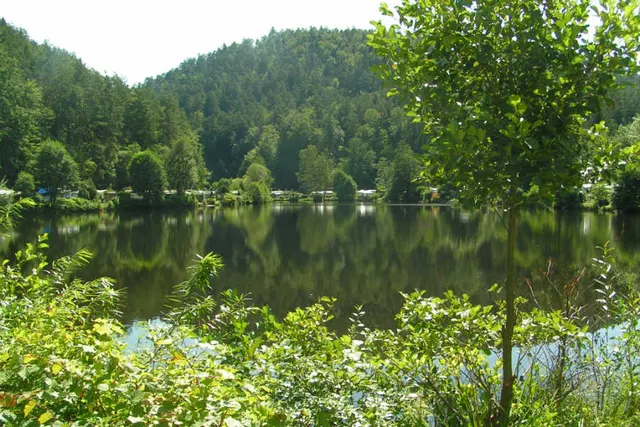 Daurercamping Freunde am Kiefschen Weiher