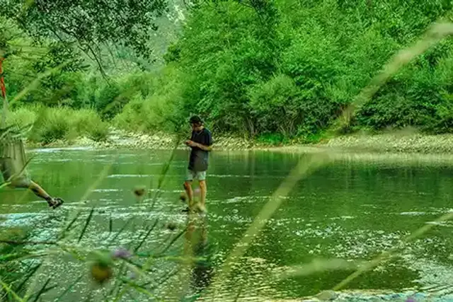Domaine Chasteuil Verdon Provence