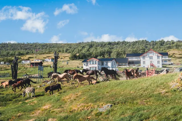 Camping Hjerkinn Fjellstue