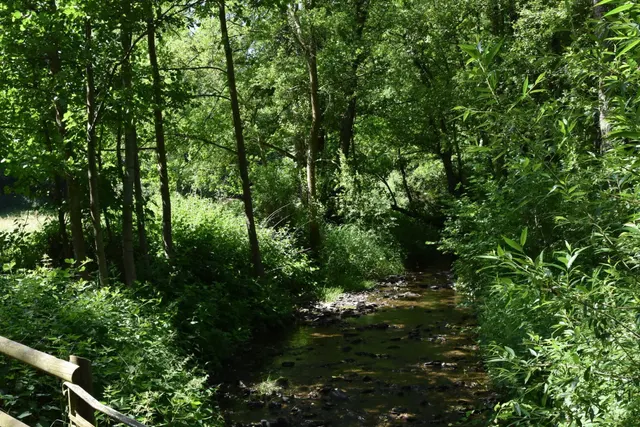 Camping Dieffenbachtal