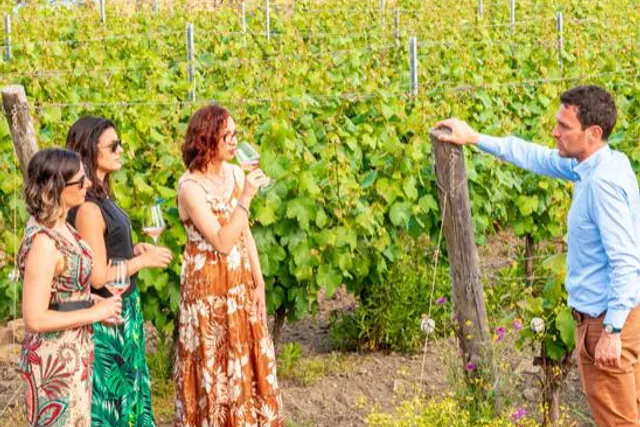 Tenuta delle Ripalte