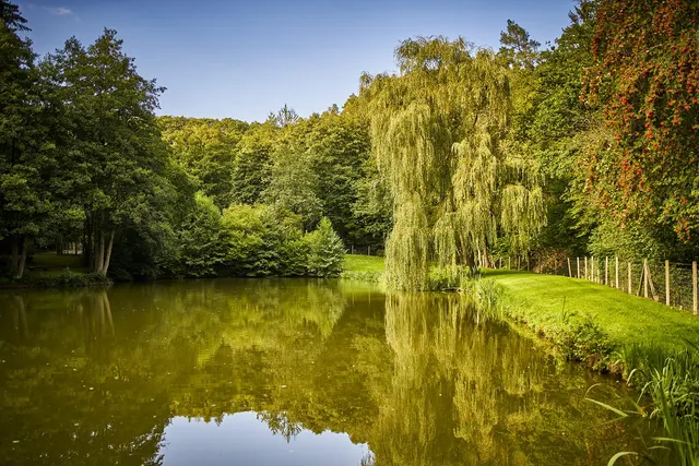Taunus Fishing Lodge