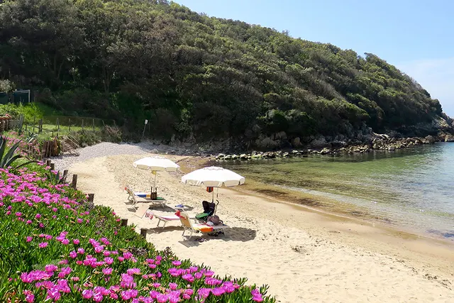 Camping Da Benedetto