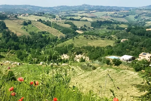 Agriturismo Unico Senso
