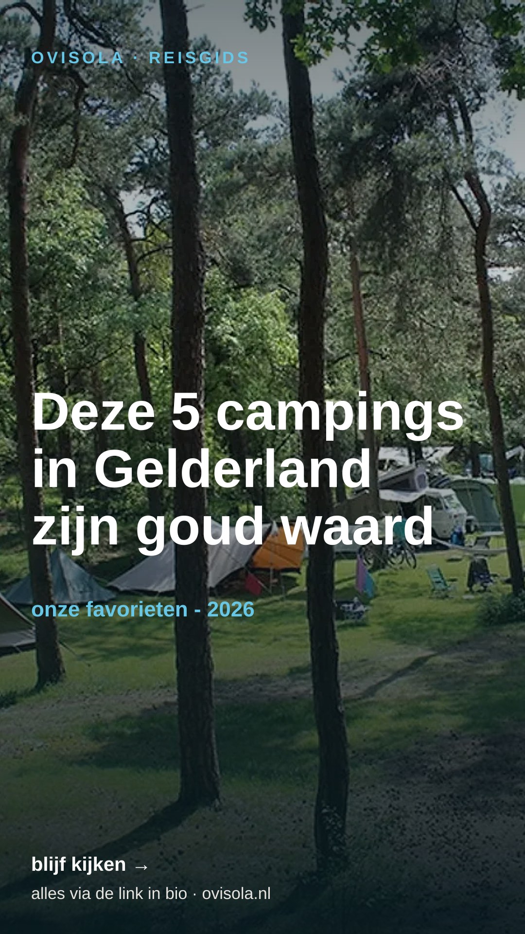 Deze 5 campings in Gelderland zijn goud waard