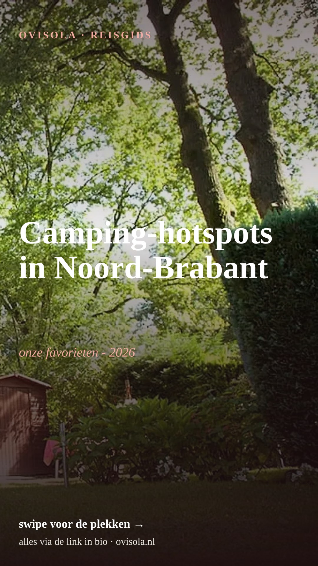 Camping-hotspots in Noord-Brabant 📍